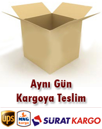 Aynï¿½ Gï¿½n Kargo